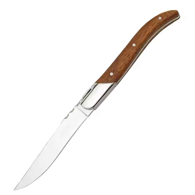 Set 4 cutite Steak seria Hunt, otel japonez HRC 60 calire laser, maner Delux Pakka image 1